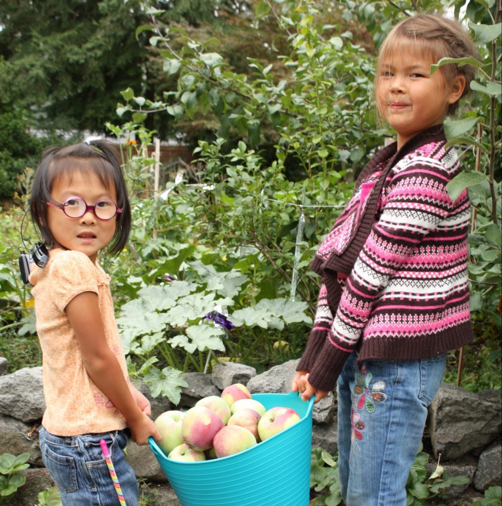 kids in the garden, garden education