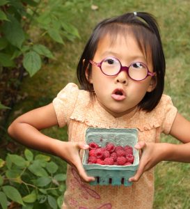 Up from the Ground by Rebecca Murakami kids garden workbook